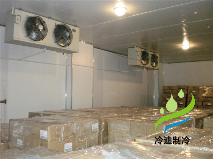 上海大型蔬菜物流保鮮冷庫安裝工程